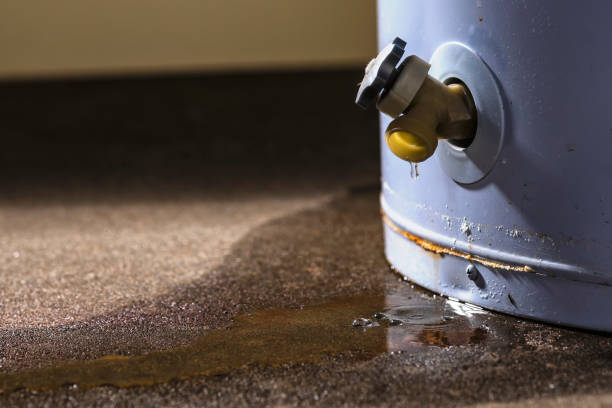 Best Water damage restoration services  in Ashland, OH