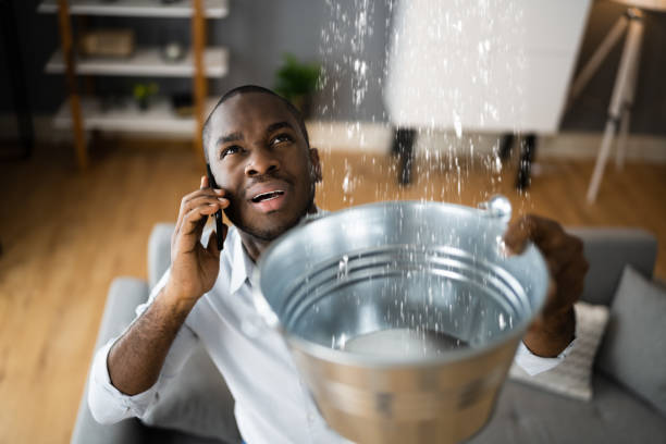 Best Water damage cleanup near me  in Ashland, OH