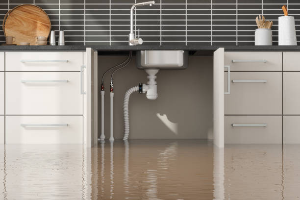 Best Emergency water damage restoration  in Ashland, OH