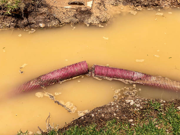 Best Flood restoration services  in Ashland, OH